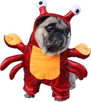 BAMY Halloween Dog Crab Costume Winter Pet Hoodie Funny Bulldog Apparel Cat Suit Puupy Clothes for Small Medium Dogs (XL (Chest circumference 15.7"))