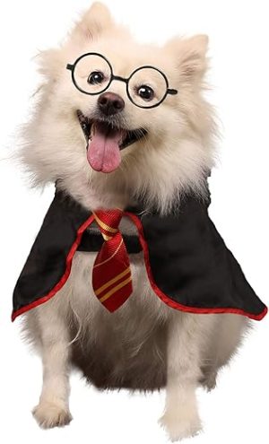 Halloween Dog Costume Pet Wizard Shirt Cat Soft Clothes for Dogs Cats Soft Hoodies with Glasses (Medium)