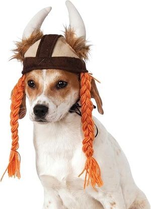 Rubie's Viking Hat with Braids for Pets, Small/Medium, Multicolor