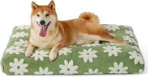 Lesure Dog Beds Large Sized Dog-Thick Shredded Chopped Foam Pet Bed, Dog Bed Indoor with Removable Cover, Cute Modern Fuzzy Plush & Anti Slip Bottom(35'x22', Green)